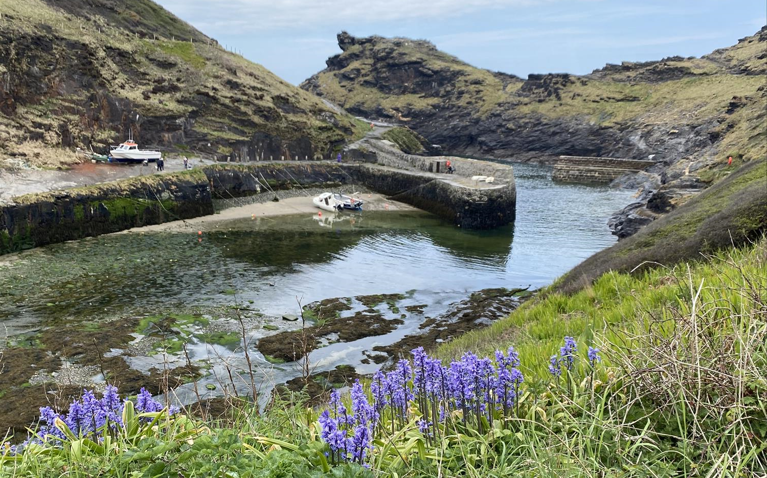 Boscastle on a sunny day. The Harbour Lights cafe sits on the edge of the river, with the harbour in the background.