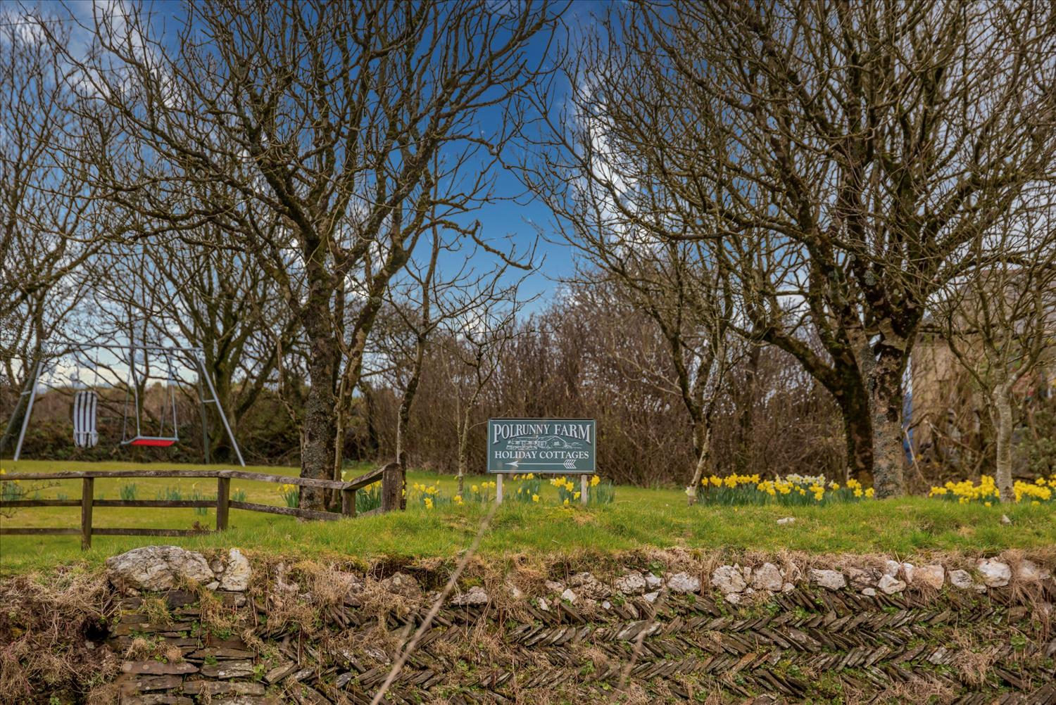 Polrunny Farm's green sign stands proud on the grass amongst the daffodils in the farm garden, with the children's play equipment in the background