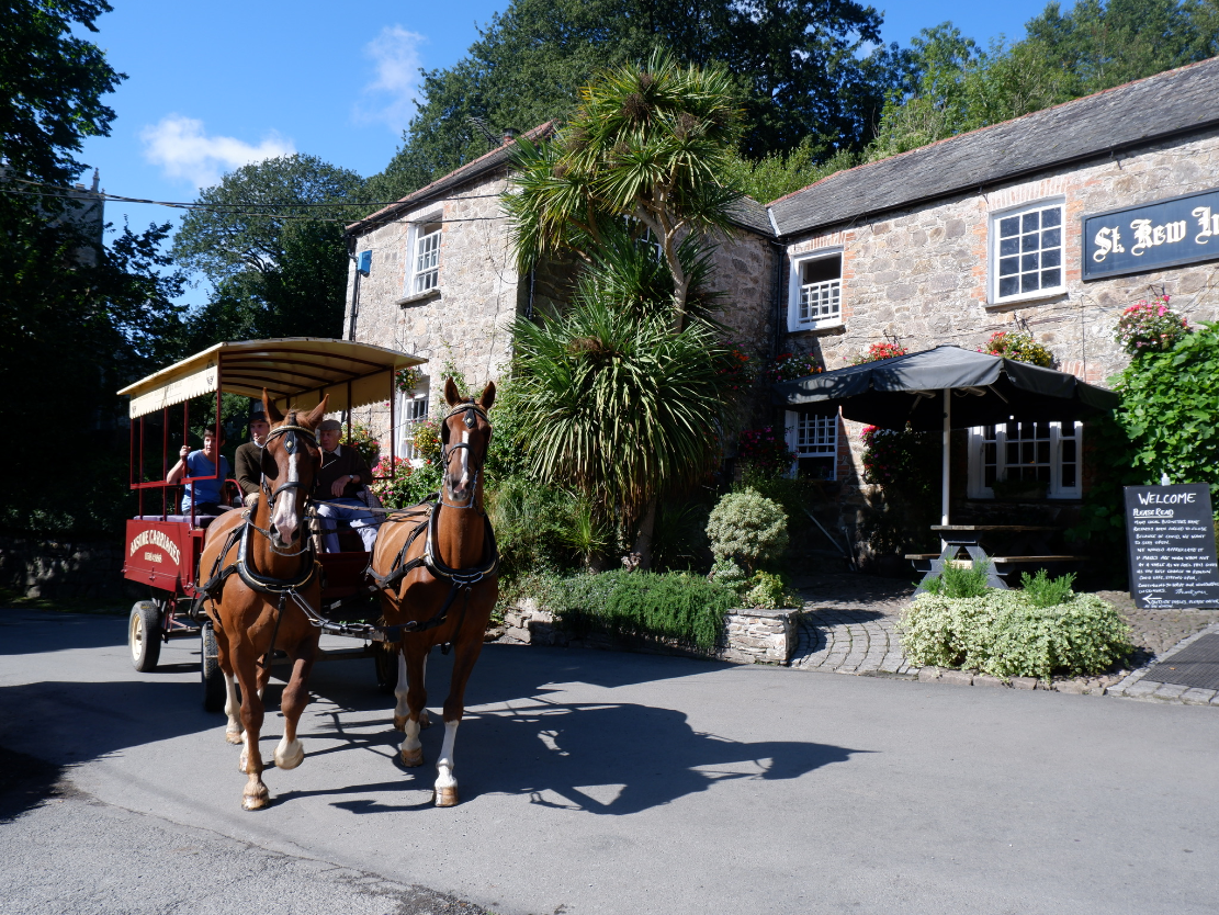 Guests at Polrunny Farm love horse and cart rides in the Cornwall countryside